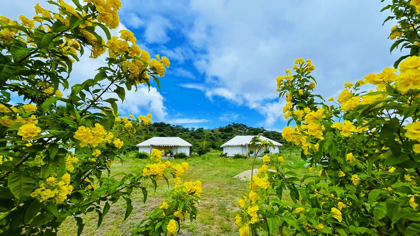 Jawai Camp – Im Land der Leoparden 1