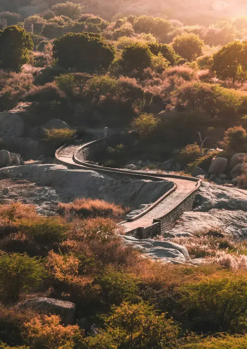 Jawai Camp – Im Land der Leoparden