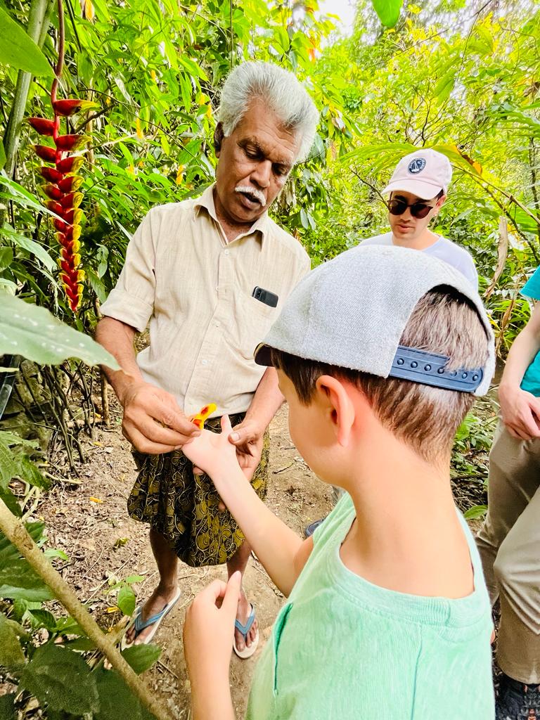 India.ch traveller experience