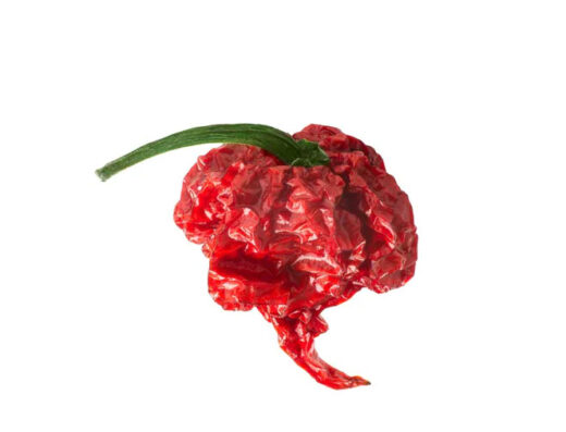 Carolina Reaper Getrockent Im Ganzen 4624d669 5a76 4abe Aaee 63262d47aa02