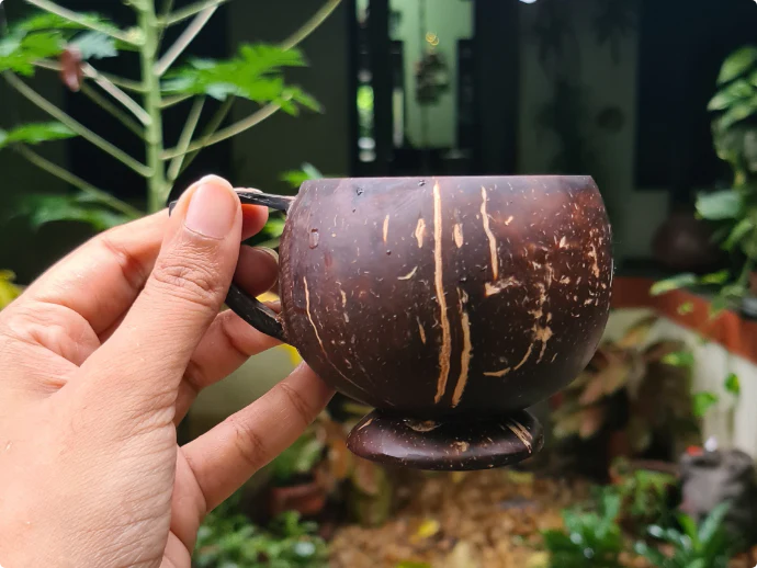 Coconut Shell Teacup