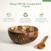 Coconut Bowl with cutlery (500 ML + Spoon)