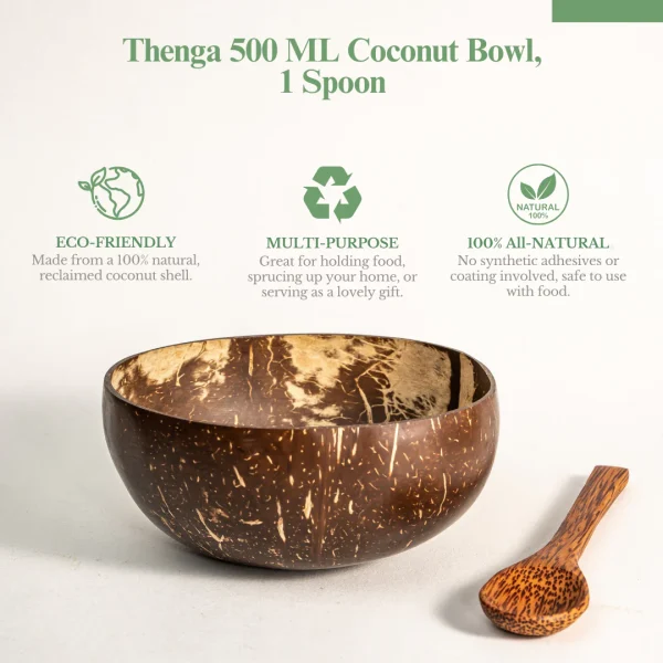 Coconut Bowl with cutlery (500 ML + Spoon)