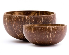 Coconut shell bowls